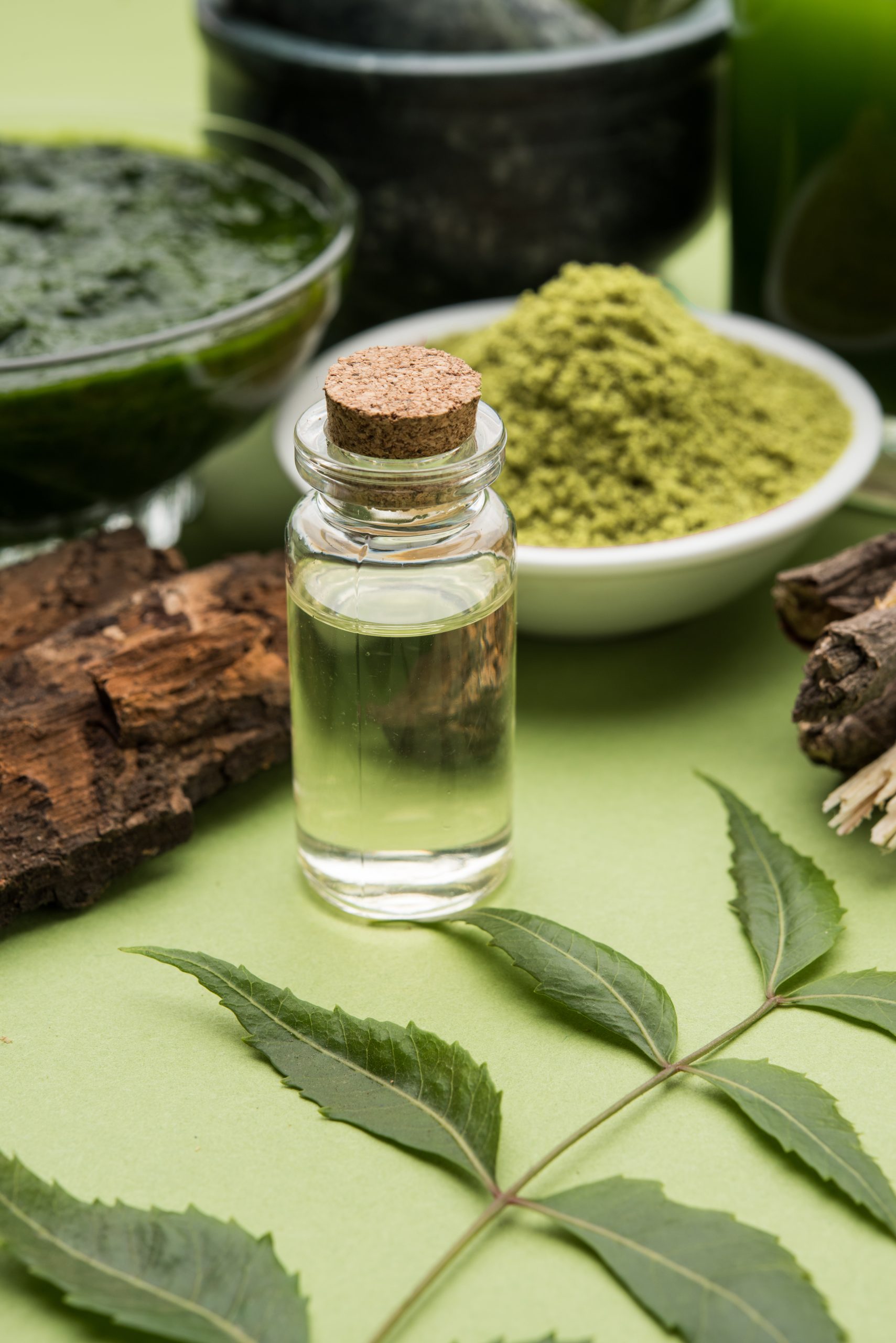 medicinal ayurvedic azadirachta indica neem leaves mortar pestle with neem paste juice twigs powder oil selective focus scaled
